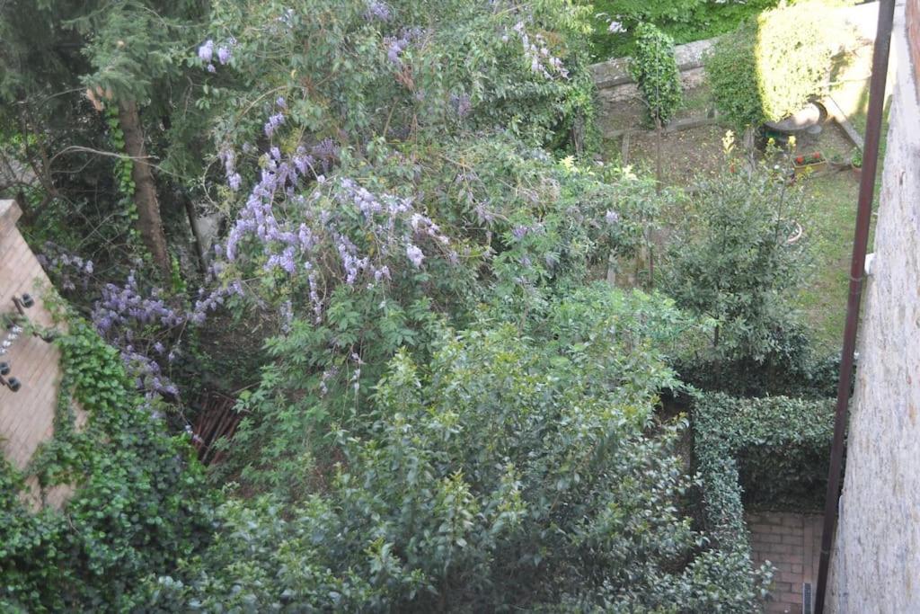 페루자 Il Profumo Del Lauro 아파트 외부 사진